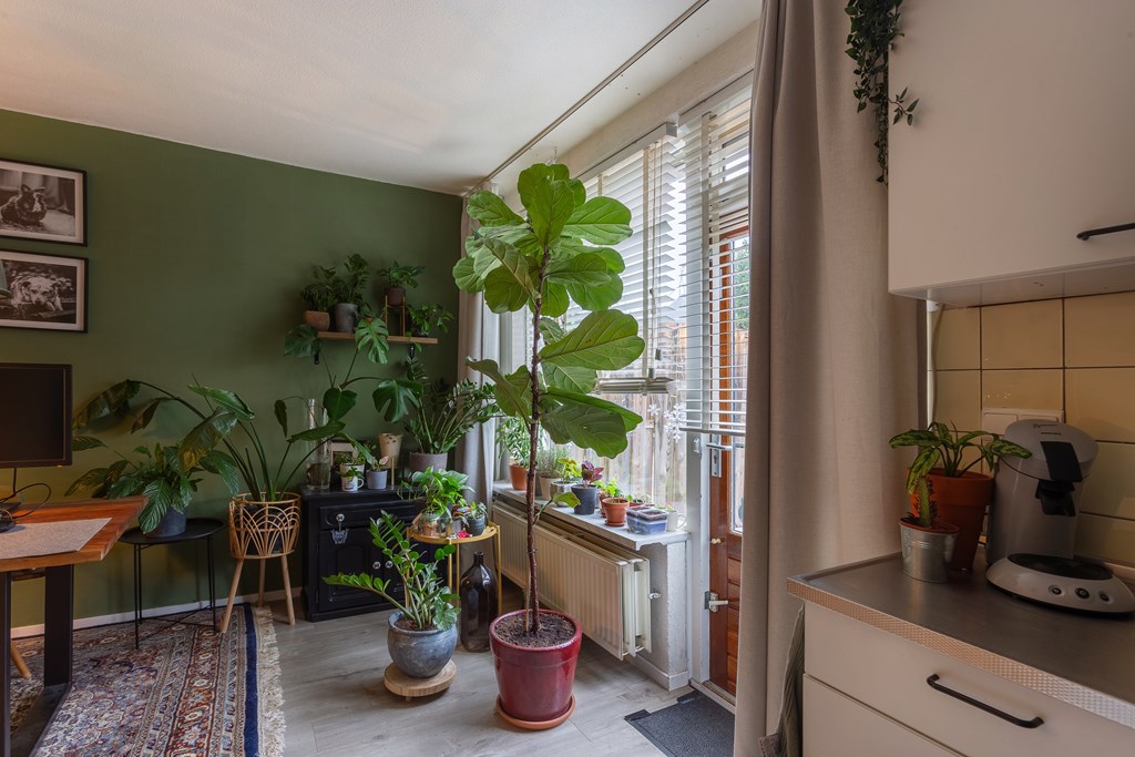 Luikstraat 33, Maasbracht-9.JPG